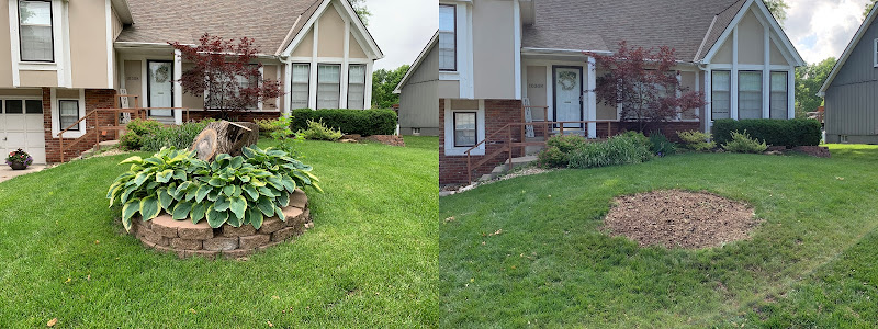 Johnson County Stump Removal LLC