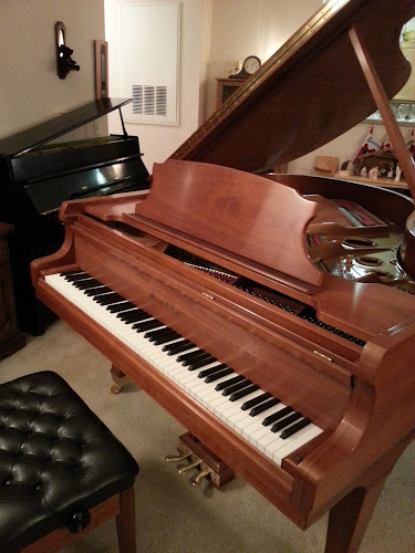 Traynor Piano and Voice