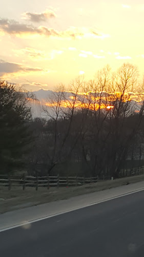 Greenleaf Garden Services